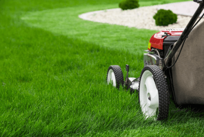 How Do You Choose The Right Lawn Variety For Australian Conditions?
