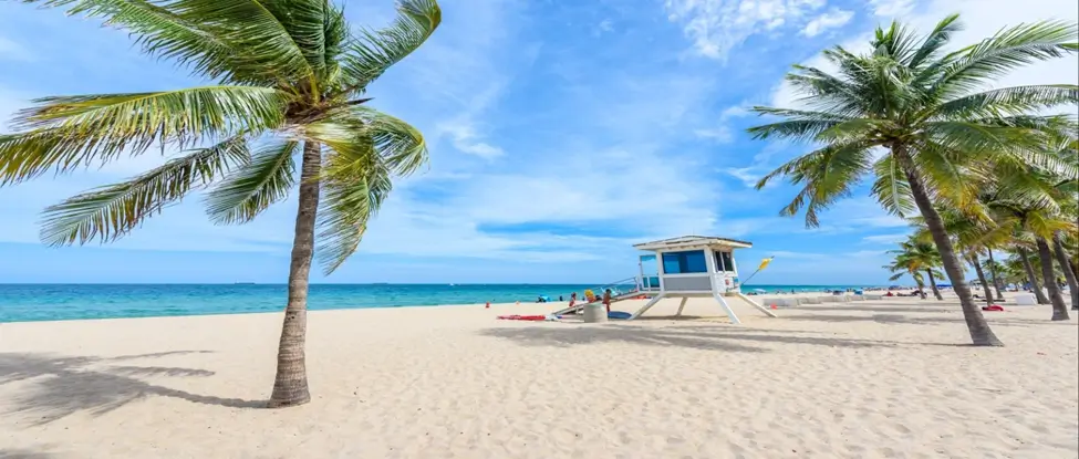 Best 8 Travel Deals You Can Book to Florida in 2026