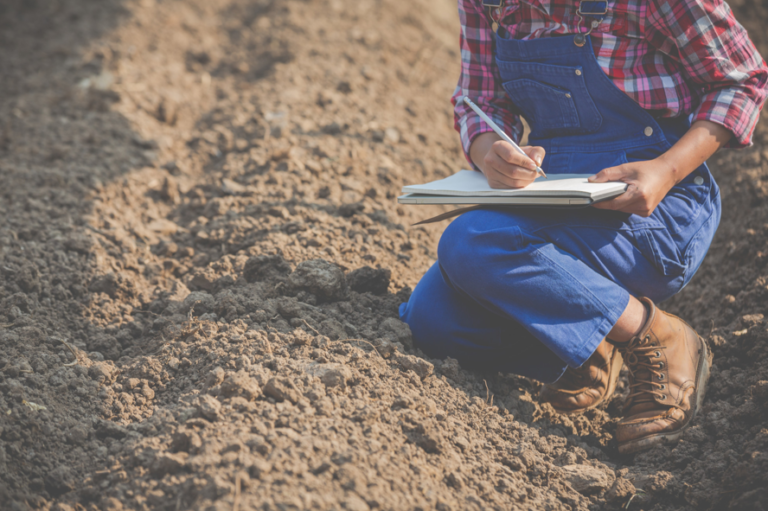 From Agricultural to Residential: Managing Soil Contamination Through Comprehensive Site Evaluation